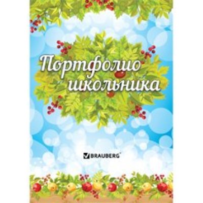 Портфолио 