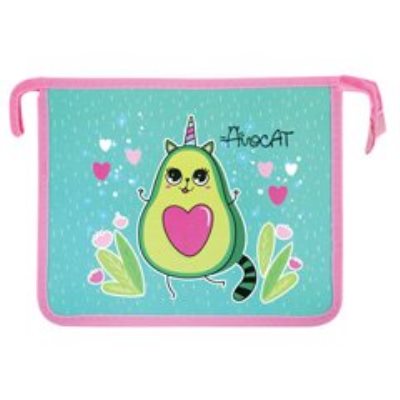 Папки для тетрадей и уроков труда 