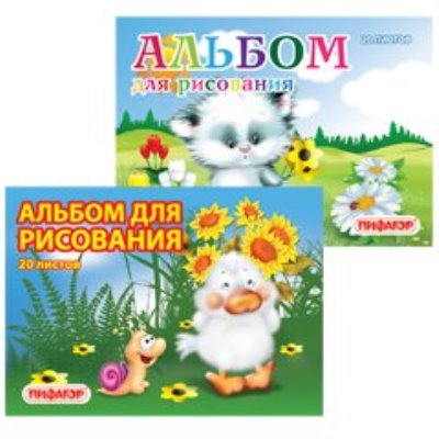 Альбомы и папки 